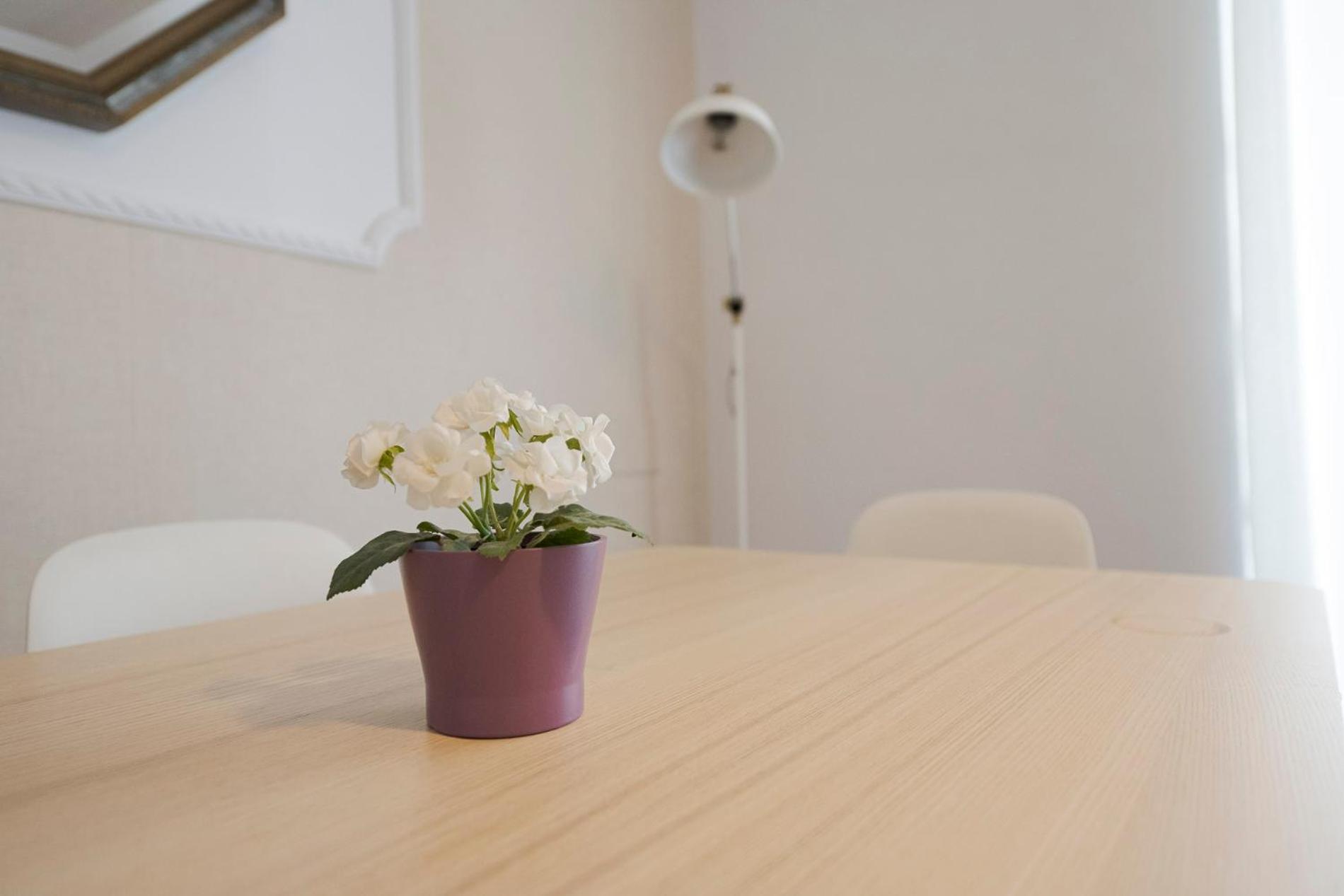 Apartamento Victoria En El Centro De San Sebastián Zewnętrze zdjęcie